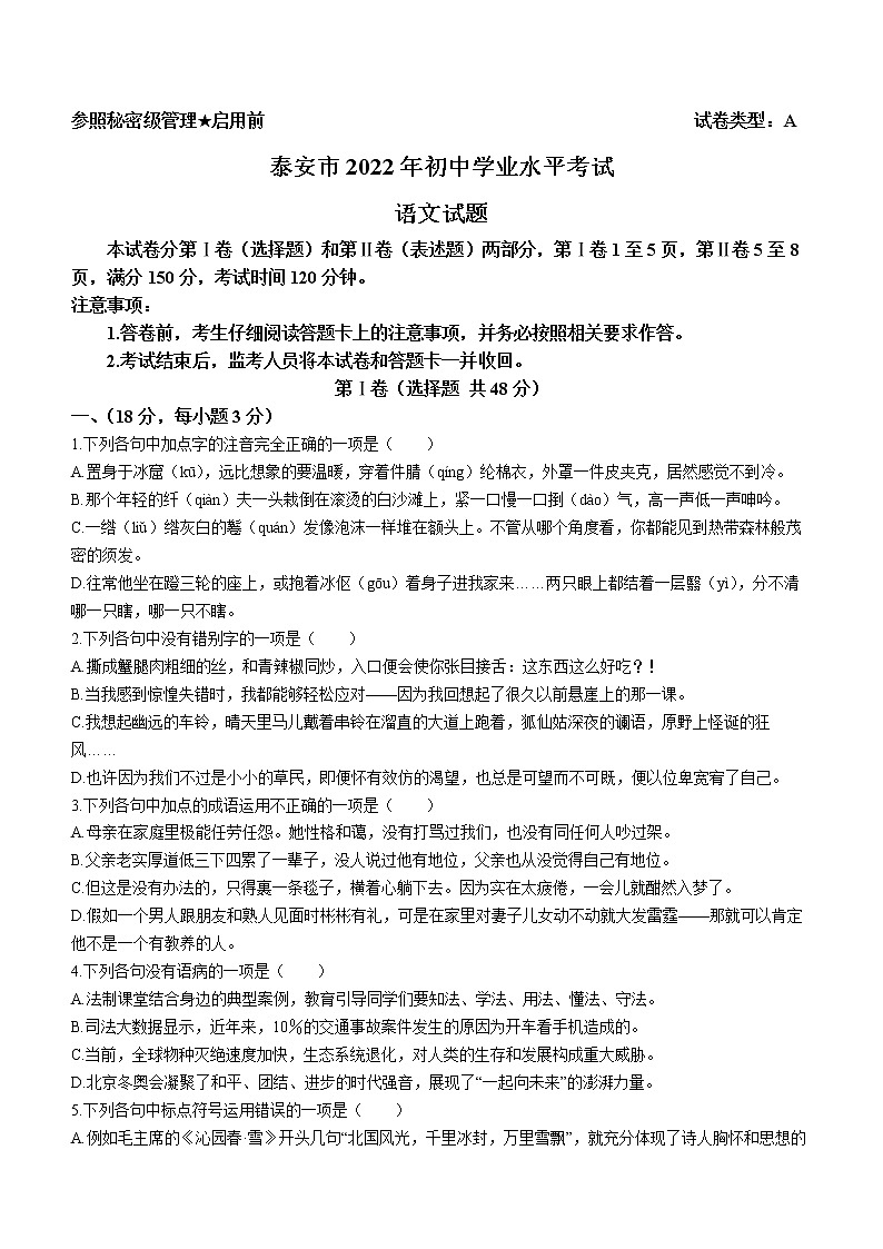 2022年山东省泰安市中考语文真题01