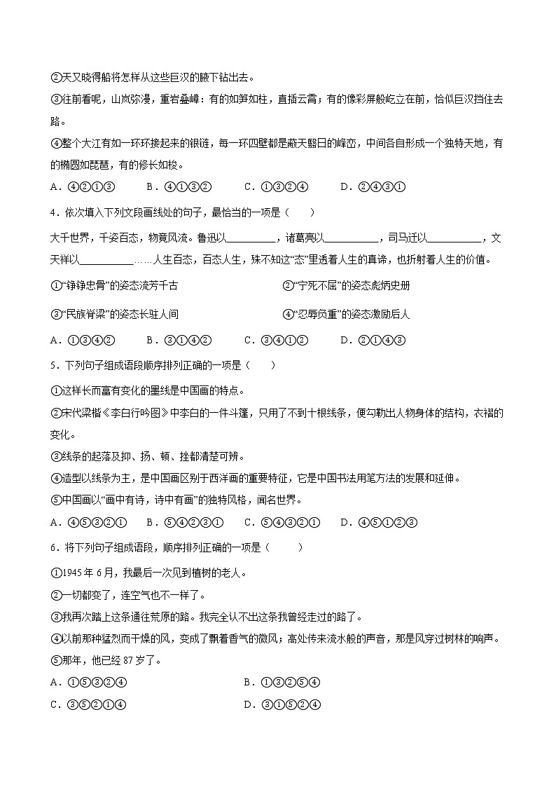 专题04 句子的连贯-八年级语文下学期期末专项复习（部编版）（试卷）第2页