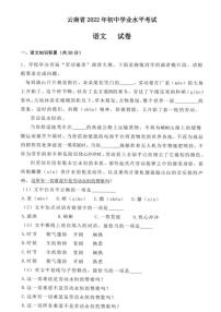 2022年云南省中考真题语文卷无答案（图片版）