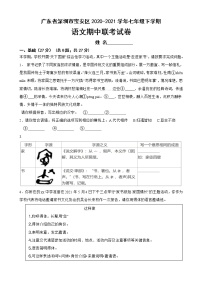 广东省深圳市宝安区2020-2021学年七年级下学期语文期中联考试卷（附答案）