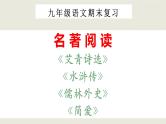 初三九年级中考 名著阅读知识串讲 九年级期末考点 课件