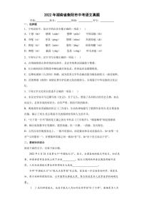 【中考真题】2022年湖南省衡阳市中考语文试卷（附答案）