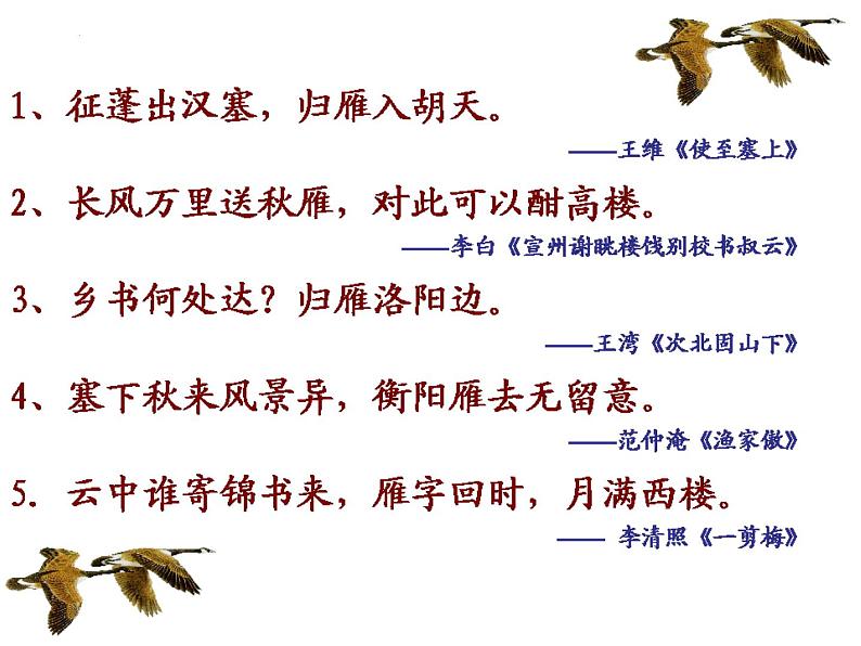 第7课《大雁归来》课件（共19张PPT）2021—2022学年部编版语文八年级下册03