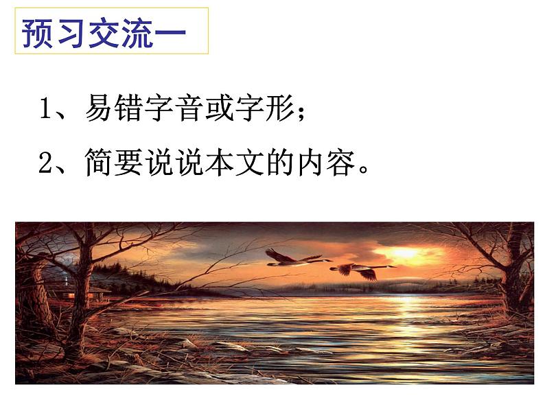 第7课《大雁归来》课件（共19张PPT）2021—2022学年部编版语文八年级下册06