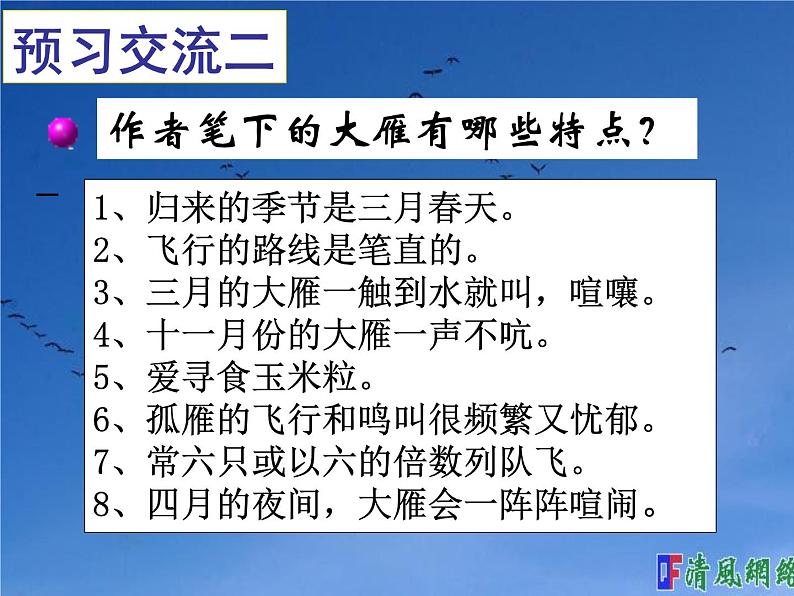 第7课《大雁归来》课件（共19张PPT）2021—2022学年部编版语文八年级下册07