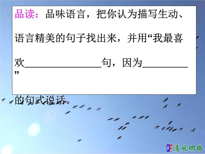 第7课《大雁归来》课件（共19张PPT）2021—2022学年部编版语文八年级下册08