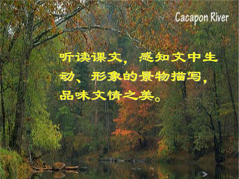 第10课《小石潭记》课件（共30张PPT）2021—2022学年部编版语文八年级下册08