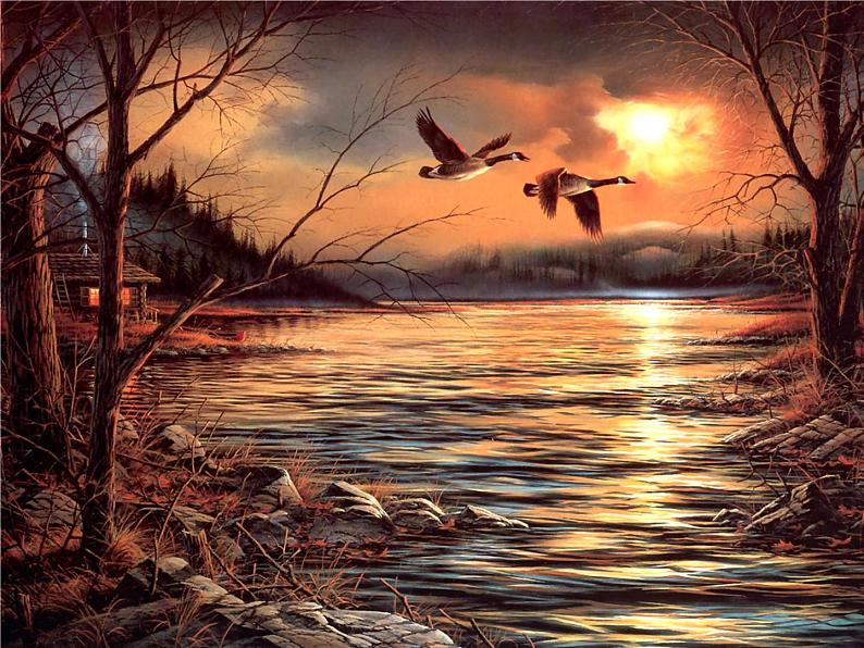 第7课《大雁归来》课件（共25张PPT）2021—2022学年部编版语文八年级下册第4页