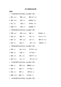 天津初三语文基础知识巩固练习：字音题