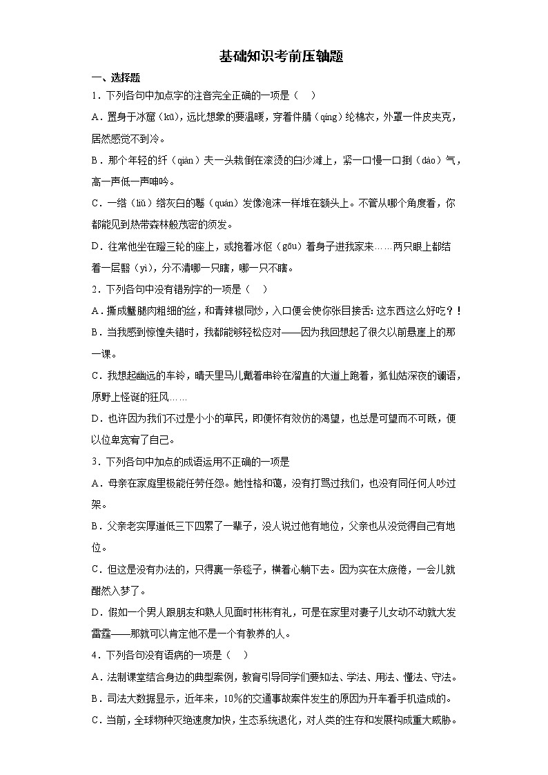 2022年中考语文备考冲刺基础知识考前压轴题第1页