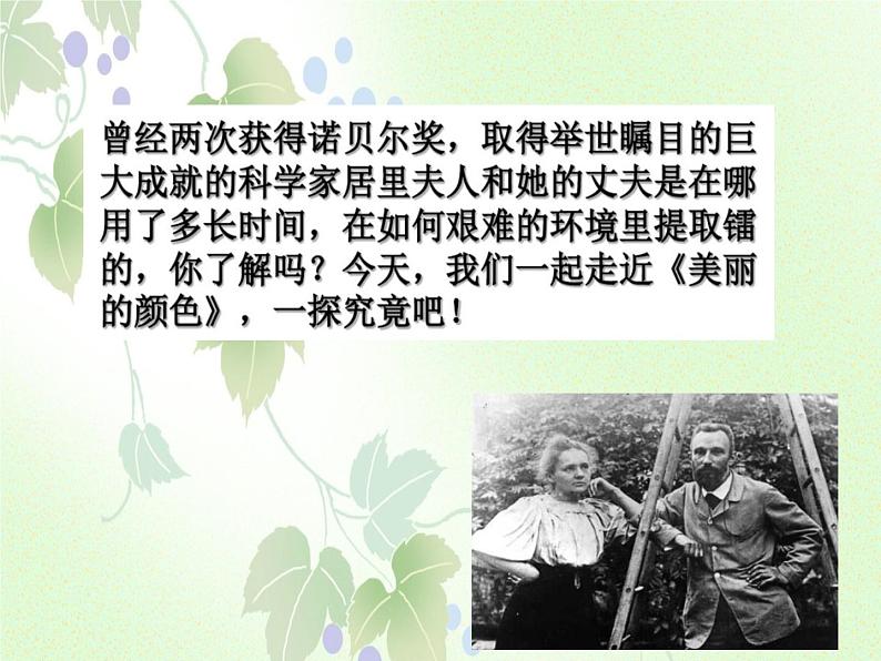 人教部编版语文八年级上册 第二单元 9美丽的颜色 课件第5页