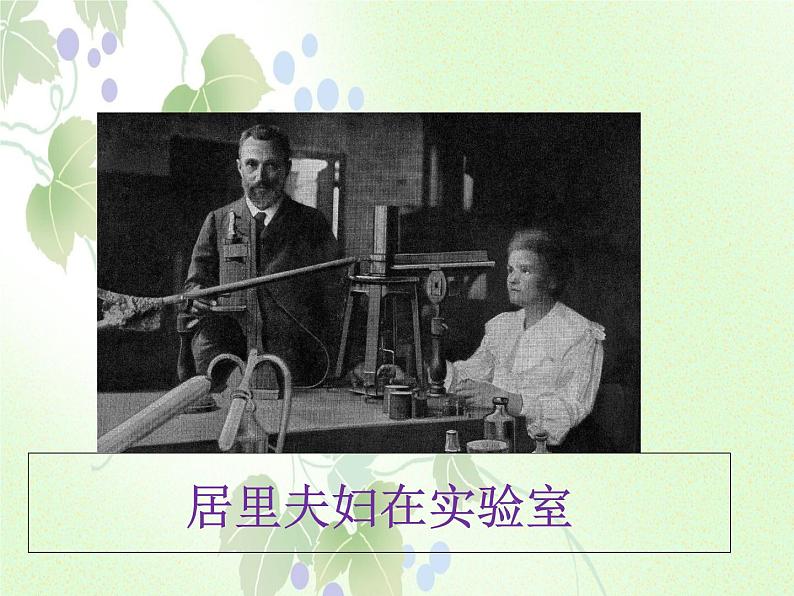 人教部编版语文八年级上册 第二单元 9美丽的颜色 课件第6页