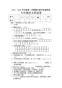 新疆乌鲁木齐市2021-2022学年七年级下学期期末摸底测试语文试题（含答案）