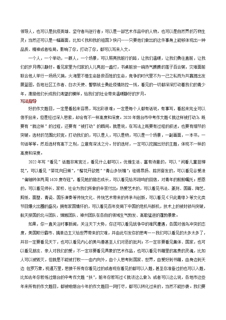 2022年山东烟台市语文中考真题写作话题解读与参考范文3篇(看见)第2页