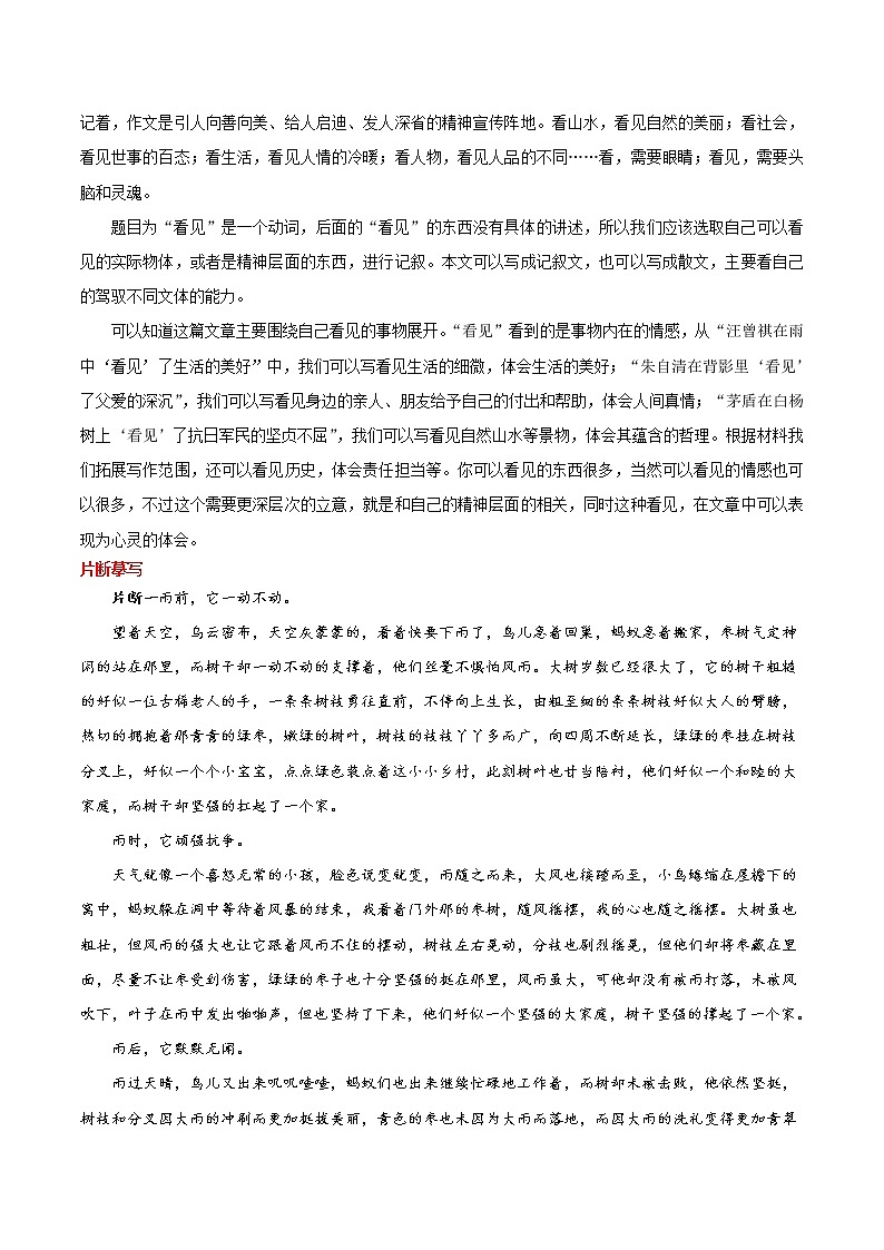 2022年山东烟台市语文中考真题写作话题解读与参考范文3篇(看见)第3页