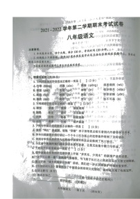 河南省濮阳市2021-2022学年八年级下学期期末考试语文试卷（含答案）