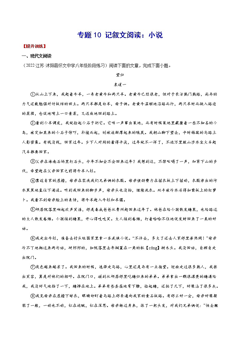 专题10 记叙文阅读：小说含解析版01
