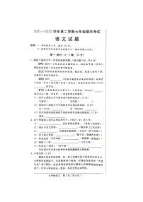 河北省邢台市2021-2022学年七年级下学期期末语文试卷（含答案）