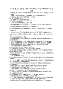 山东省泰安市宁阳县2021-2022学年八年级下学期期末语文试题（无答案）