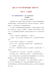 专题09++小说阅读-备战2022年中考语文精选题集（重庆专用）