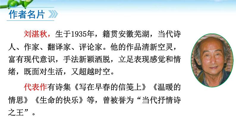 部编版语文七年级上册 --3 雨的四季 课件第2页