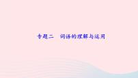 人教版八年级语文上册期末专题复习2词语的理解与运用课件