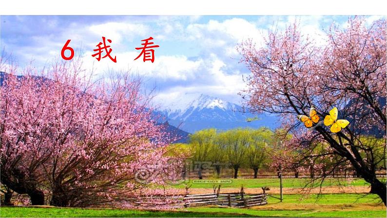 部编版九年级语文上册课件----6 我看02