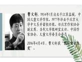部编版九年级语文上册课件---孤独之旅