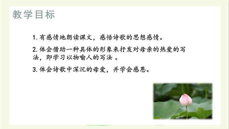 7散文诗两首第二课时《荷叶母亲》课件+教学设计03