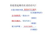 2021-2022学年部编版语文八年级下册 第24课《茅屋为秋风所破歌》课件（20张PPT）