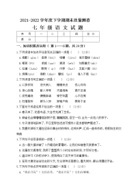 黑龙江省齐齐哈尔碾子山区2021-2022学年七年级下学期期末考试语文试题(word版含答案)