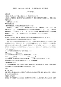 河南省濮阳市2021-2022学年八年级下学期期末语文试题(word版含答案)