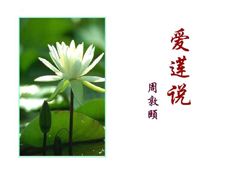 第17课《爱莲说》课件+++2021-2022学年部编版语文七年级下册第1页