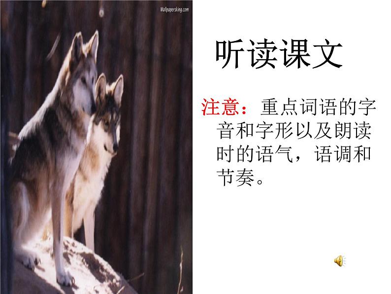 第18课《狼》课件（共41张PPT）2022—2023学年部编版语文七年级上册04