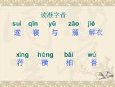 第11课《记承天寺夜游》复习课+++课件++2022-2023学年部编版语文八年级上册