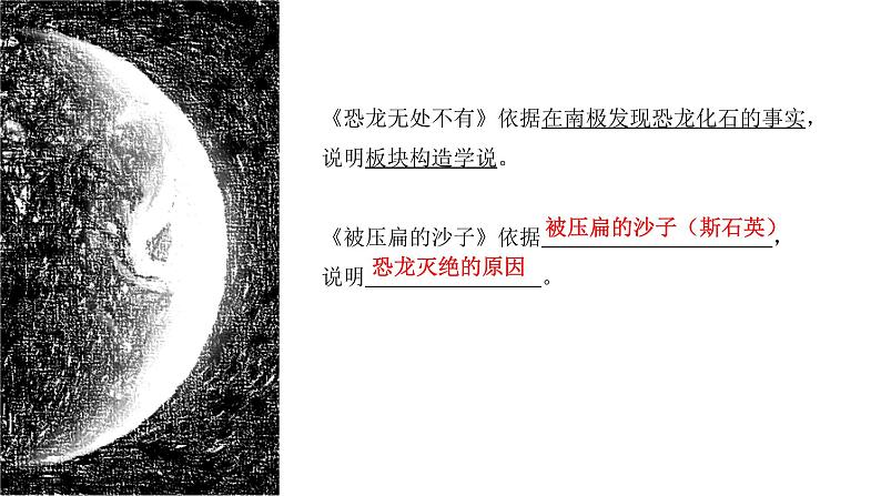 第6课《被压扁的沙子》课件（共21页）2021-2022学年部编版语文八年级下册04