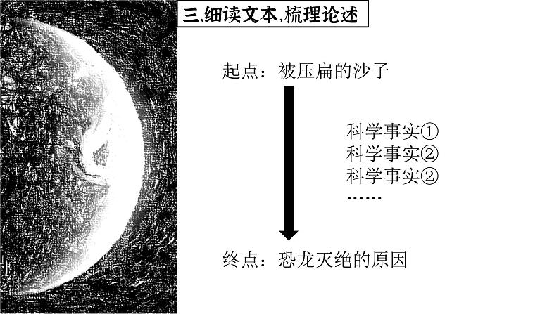 第6课《被压扁的沙子》课件（共21页）2021-2022学年部编版语文八年级下册08