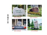 第二单元综合性学习《君子自强不息》课件++2022-2023学年部编版语文九年级上册