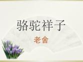名著阅读《骆驼祥子》复习课课件（共35页）2021-2022学年部编版语文七年级下册