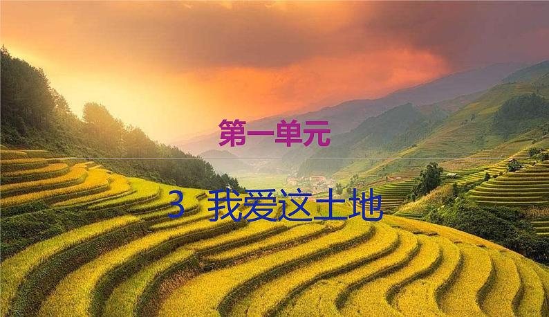 部编版语文九年级上学期3《我爱这土地》同步课件+教案01