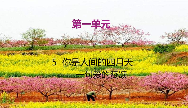 语文9上  5  你是人间的四月天——一句爱的赞颂第1页