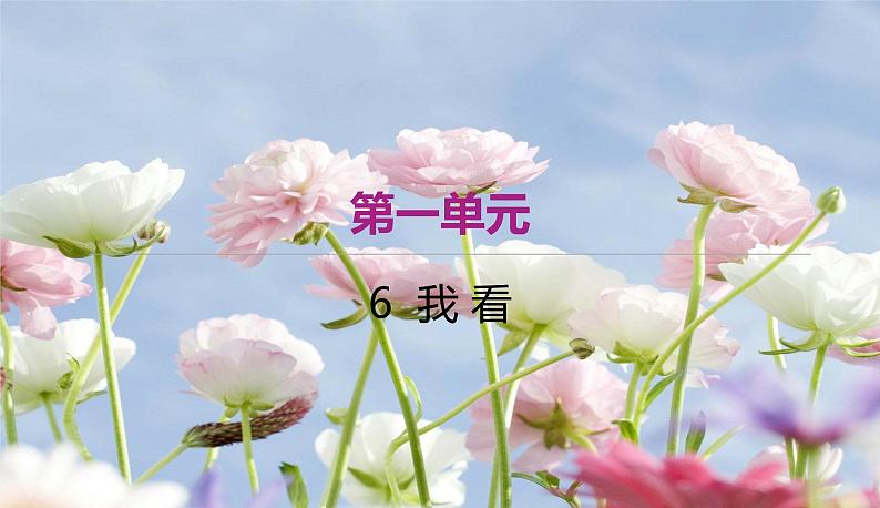 部编版语文九年级上学期 6. 《我看》同步课件+教案01