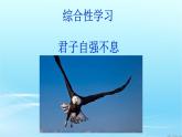 部編版語文九年年級上冊第二單元綜合性學(xué)習(xí)《君子自強不息 》課件