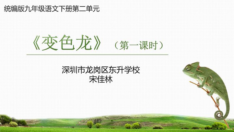 初中语文 统编版 九年级下册 《变色龙》第1课时 课件第1页