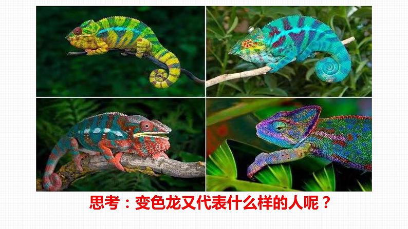 初中语文 统编版 九年级下册 《变色龙》第1课时 课件第5页