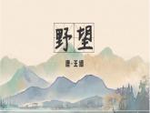 第13课《野望》课件（共20页）2022-2023学年部编版语文八年级上册