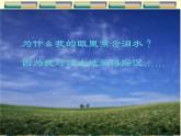 部编版九年级语文上册2.《我爱这土地》课件