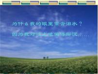 人教部编版九年级上册3 我爱这土地教案配套ppt课件