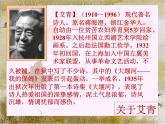 部编版九年级语文上册2.《我爱这土地》课件
