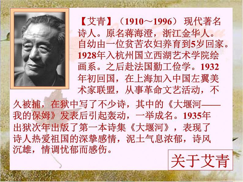 部编版九年级语文上册2.《我爱这土地》课件第3页